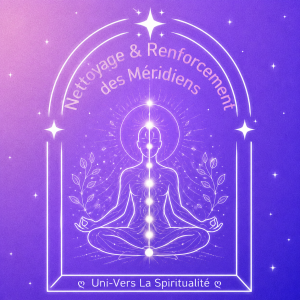 Nettoyage & Renforcement des Méridiens